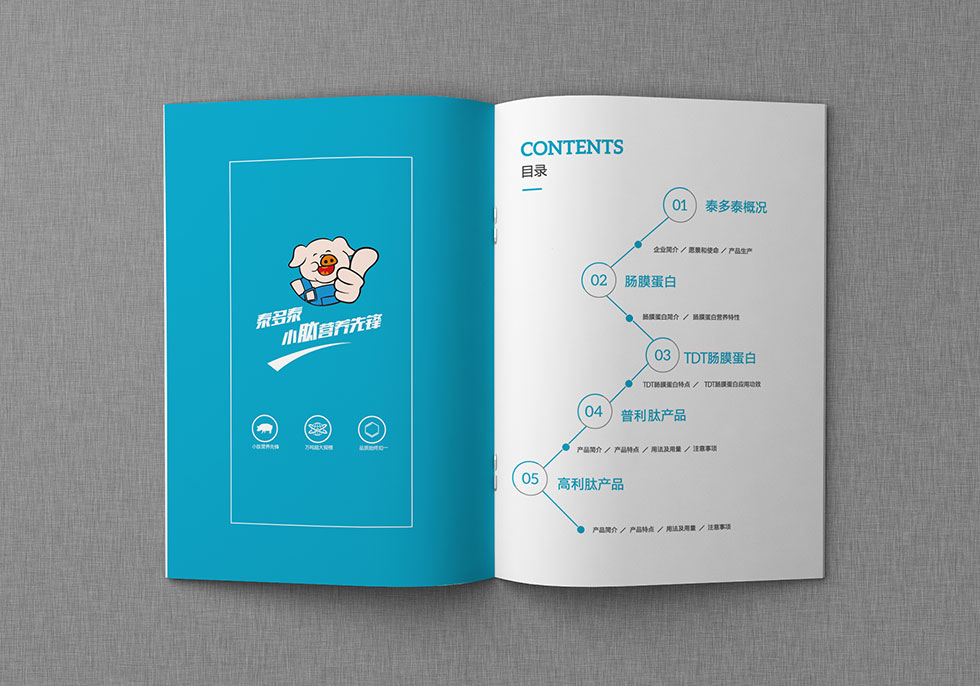 武漢畫冊設(shè)計(jì)公司